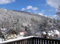 gal/Landschaft/_thb_Winter_002.jpg